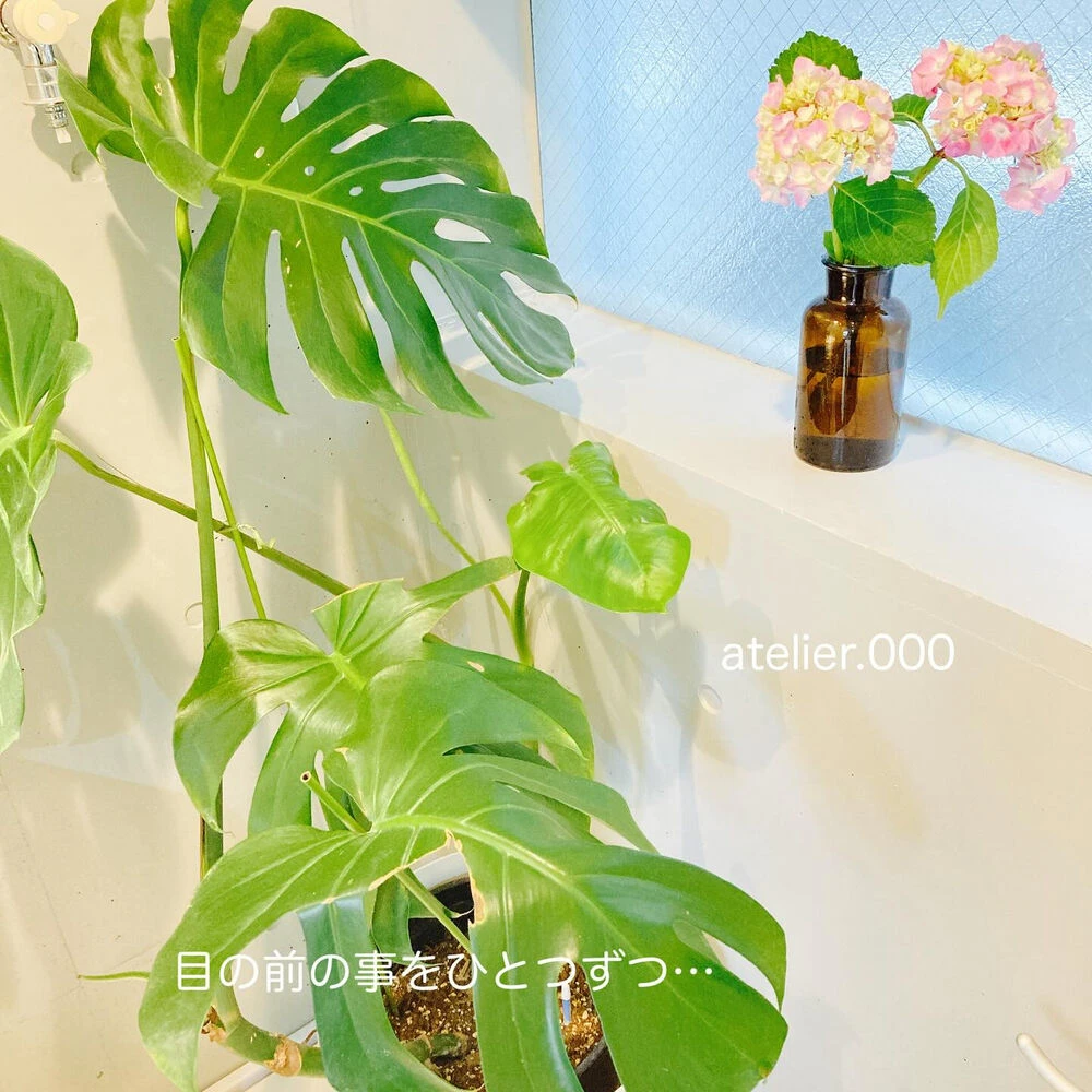 ブログ