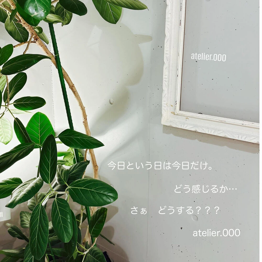 ブログ