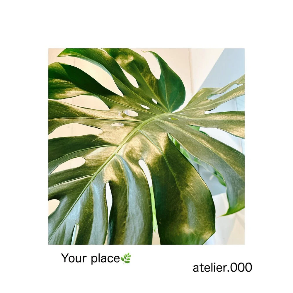 ブログ