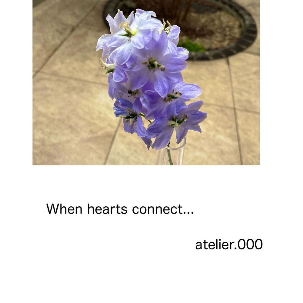 ブログ