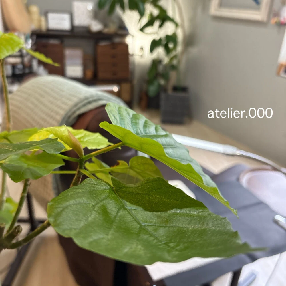 ブログ
